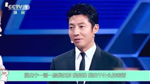 黑料大赛每日大赛,每日风云变幻，揭秘娱乐圈幕后真相